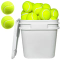 Xifua Bucket of Tennis Balls 38 Pack - Bulk Practice Balls for Tennis Training Pet Toys Coach Indoor & Outdoor Play - Pelotas de Tenis for Youth and Dogs