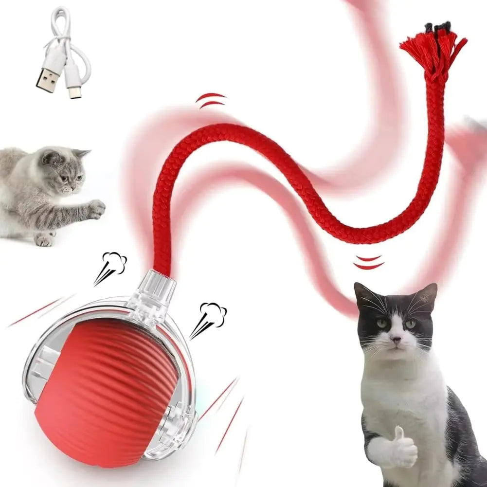 NIGRITY Interactive Rolling Cat Toys Ball Interactive Rolling Dog Ball Motion Activate Rolling Pet Toys Automatic Self Moving Dog/Cat for Indoor Cats Toys Fast Rolling on Carpet (Red)