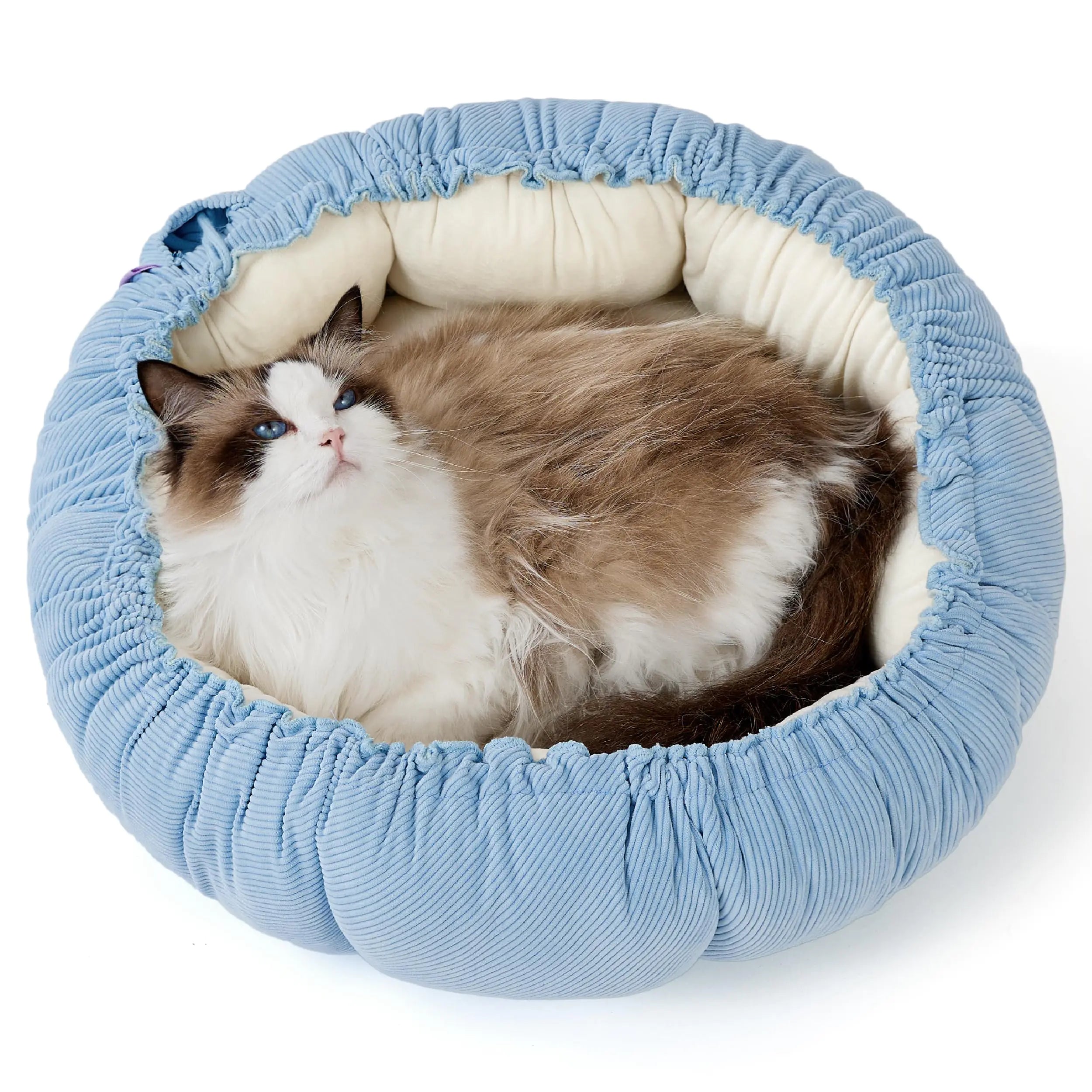 Lesure Cat Beds for Indoor Cats - Washable Cute Cat Beds with Versatile Dual-Use Design Reversible Donut Pet Bed for Puppy and Kitten 21x21x7 Inches